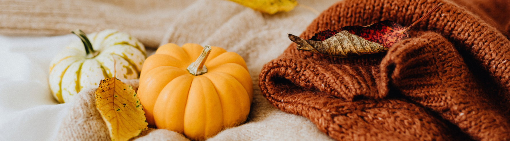 Our top tips for the perfect Halloween