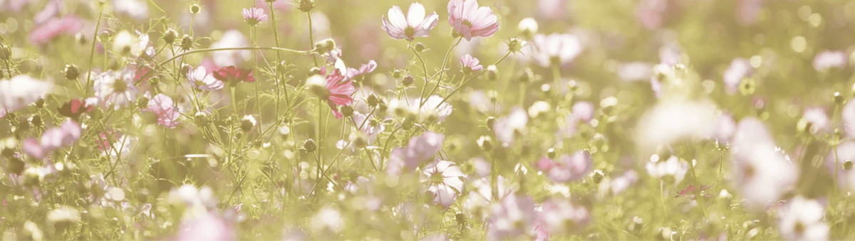 Floral Prints to celebrate The Chelsea Flower Show 2022
