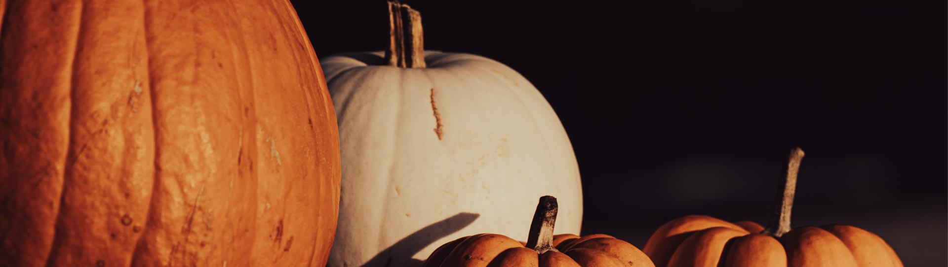 Halloween-Inspired Pyjamas You’ll Want to Wear All Month