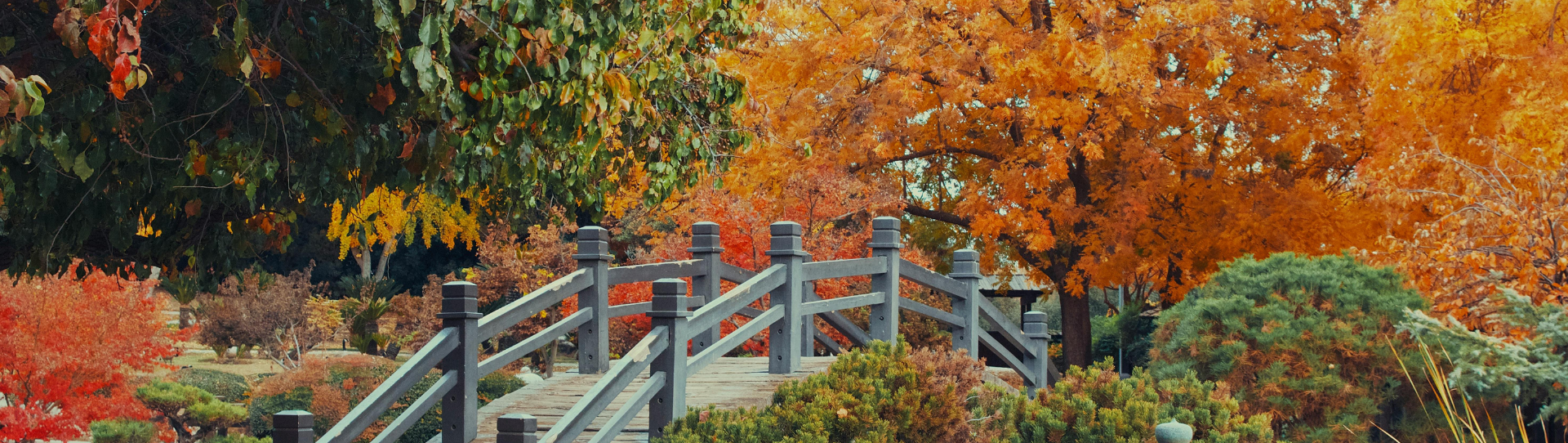 5 Cosy Rituals to Welcome Autumn With Ease