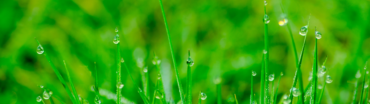 Five Ways to Keep The Kids Both Busy & Cosy During Spring Showers