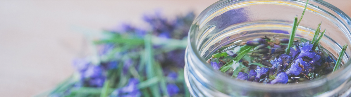 Using herbs for a great night's sleep