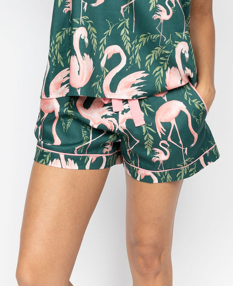 Ivy Womens Flamingo Print Shorts