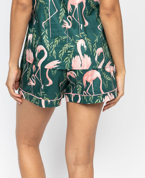 Ivy Womens Flamingo Print Shorts