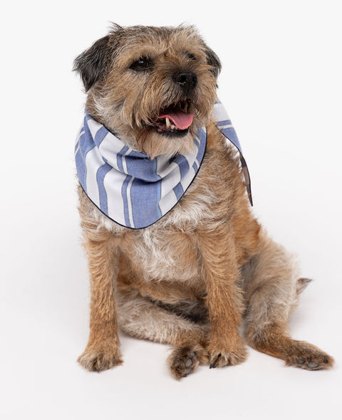 Alpes Stripe Dog Neckerchief