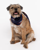 Alpes Ski Print Dog Neckerchief