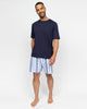 Alpes Mens Stripe Shorts