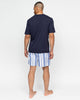 Alpes Mens Stripe Shorts