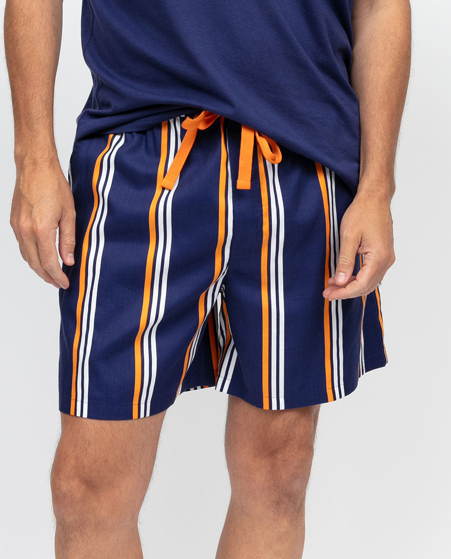Indigo Mens Printed Stripe Shorts