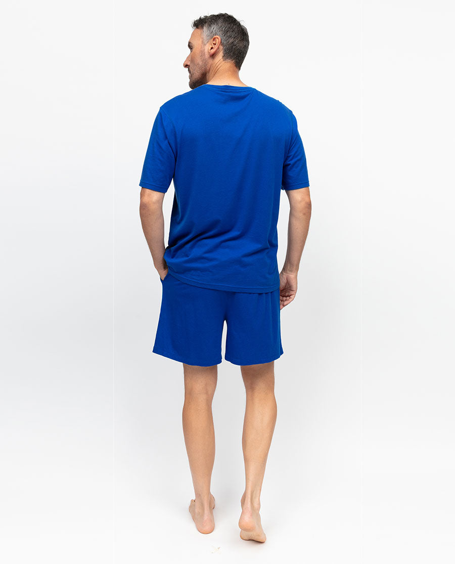 Ashley Mens Jersey Shorts