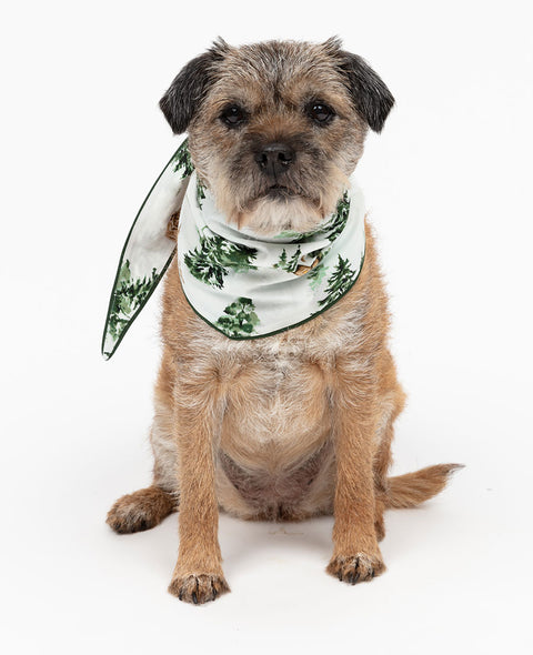 Fern Alpine Print Dog Neckerchief