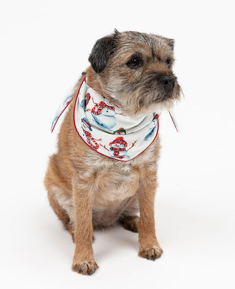 Blaze Snowman Printed Jersey Dog Neckerchief