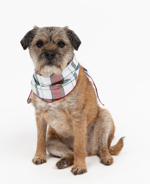 Blaze Brushed Check Dog Neckerchief