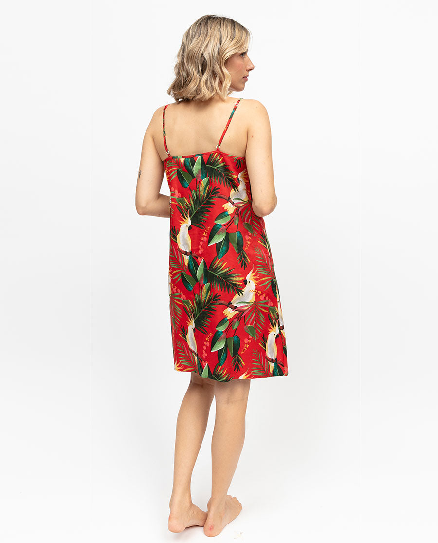 Tara Womens Cockatoo Print Strappy Short Nightdress
