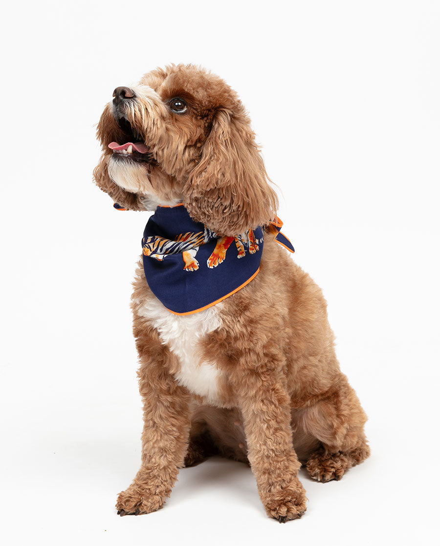 Indigo Tiger Print Dog Neckerchief