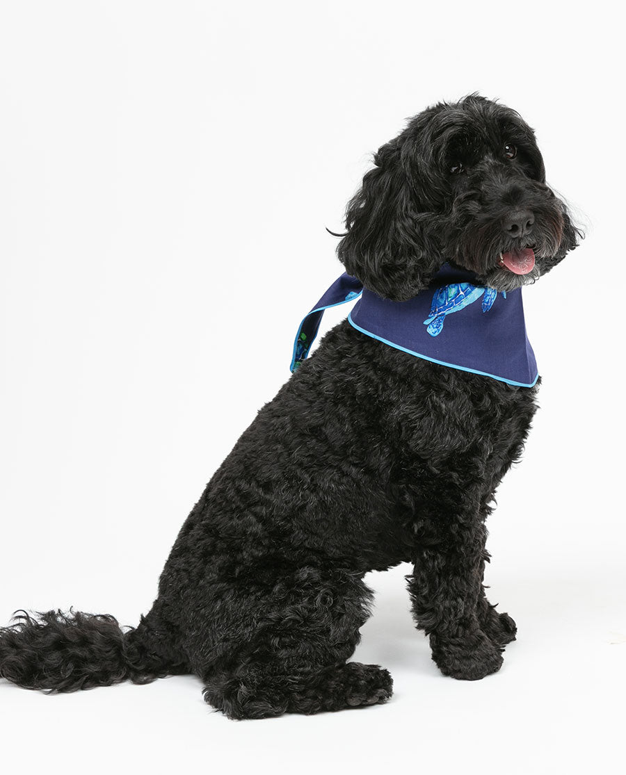 Ashley Turtle Print Dog Neckerchief