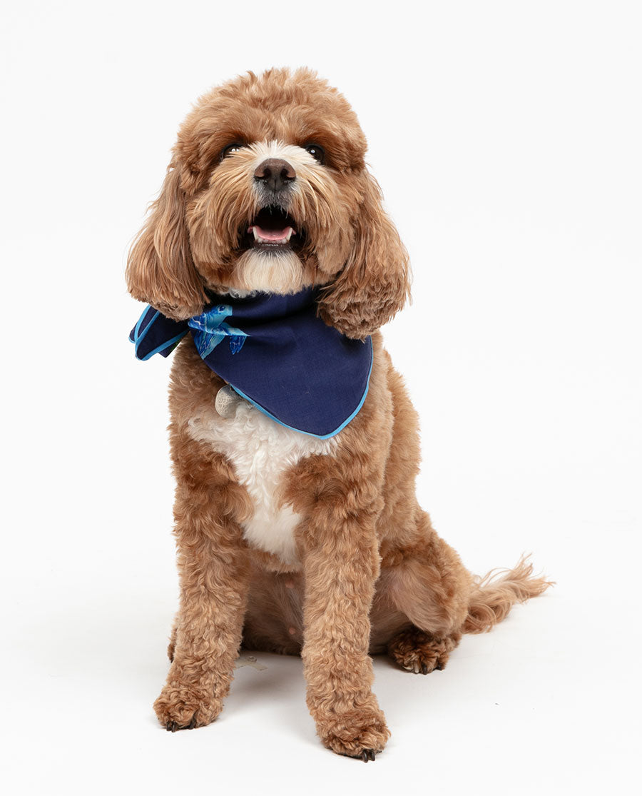 Ashley Turtle Print Dog Neckerchief