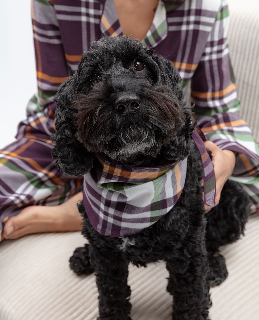 Wild Slumber Lightly Brushed Check Dog Neckerchief