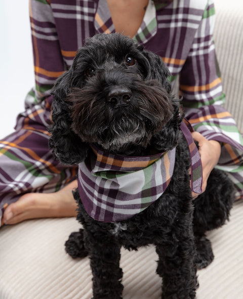 Wild Slumber Lightly Brushed Check Dog Neckerchief