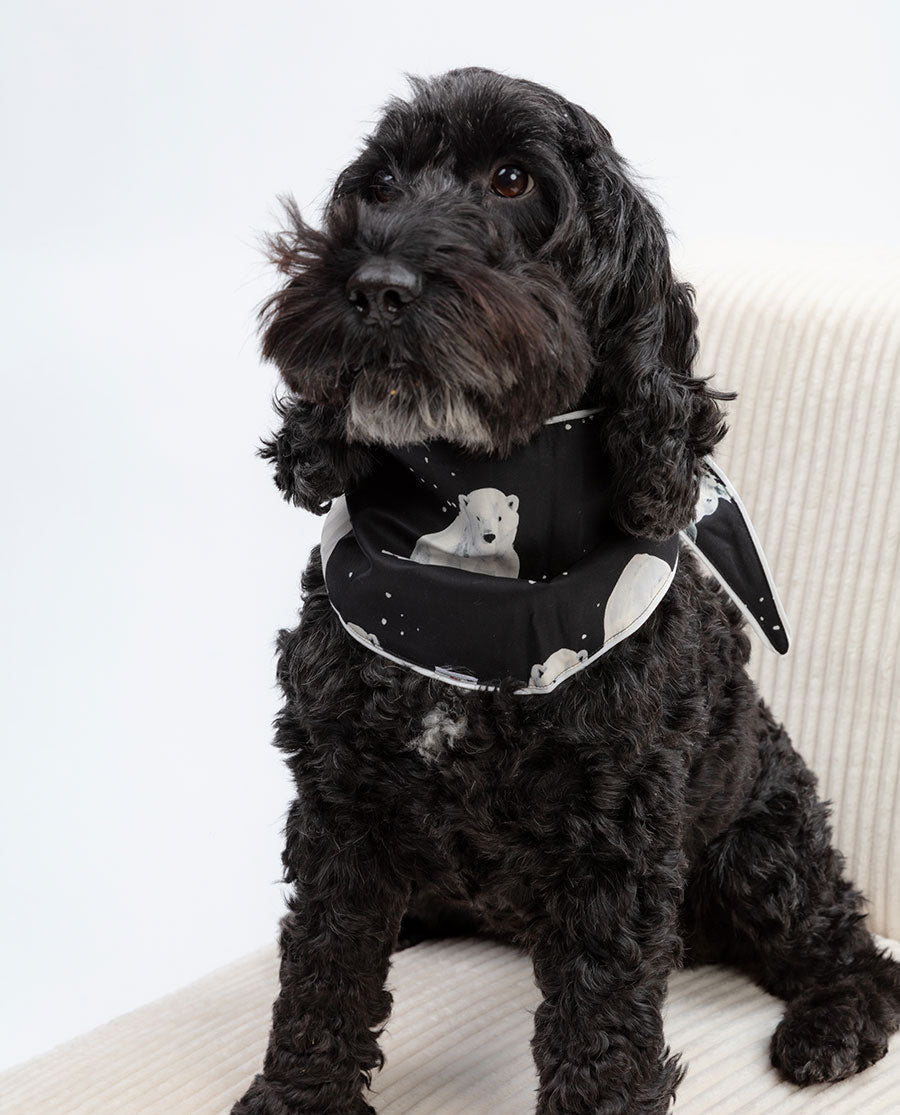 Polar Bear Print Dog-Neckerchief