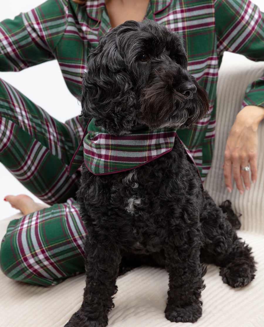 Green Brushed Checks Matching Family Pyjama Set