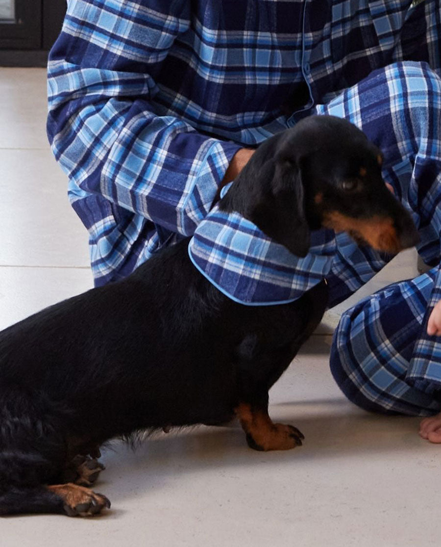Blue Brushed Check Dog-Neckerchief
