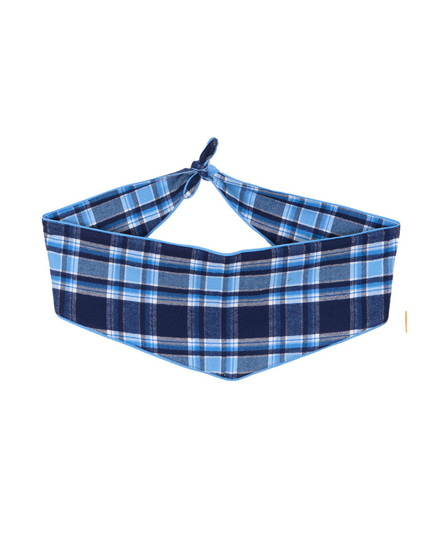 Blue Brushed Check Dog-Neckerchief