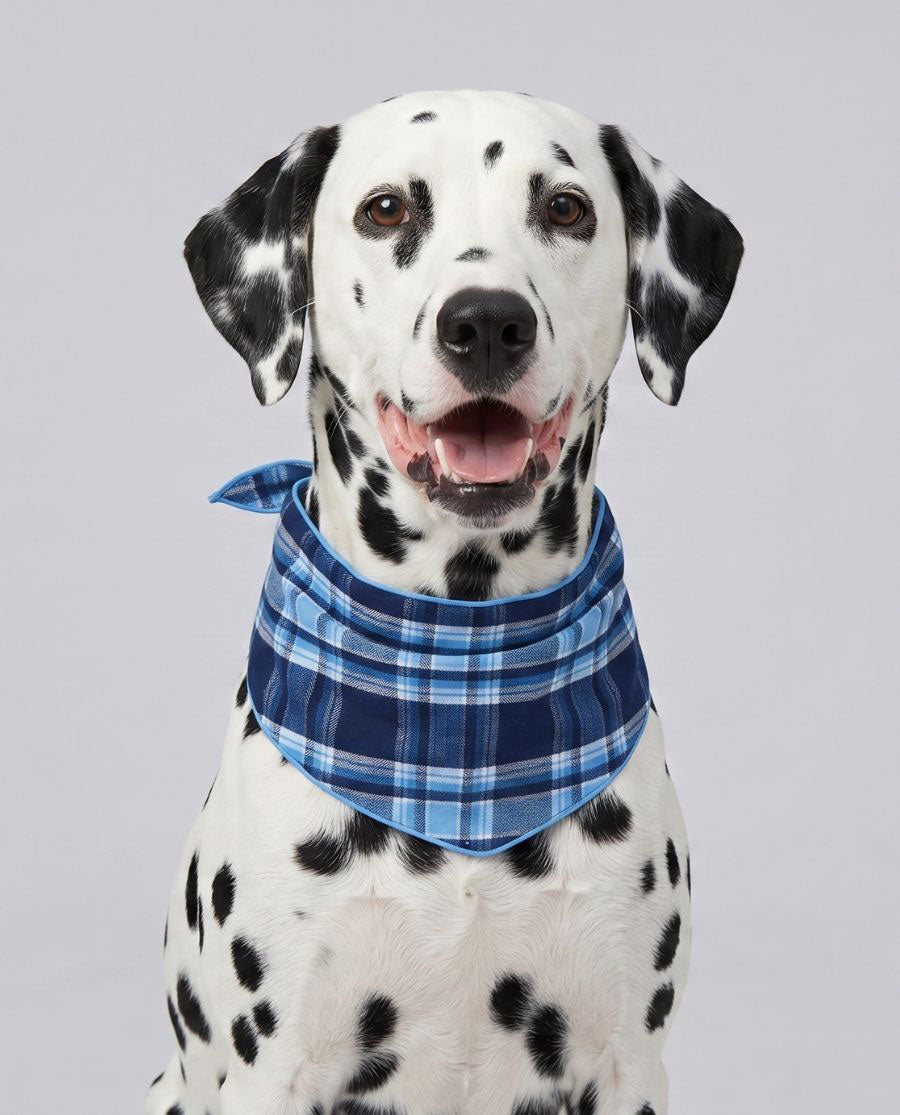 Blue Brushed Check Dog-Neckerchief