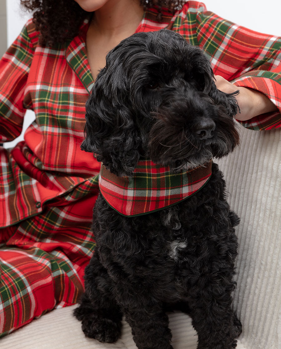 Red Brushed Check Dog-Neckerchief