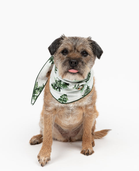 Fern Alpine Family Matching Pyjama Set