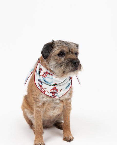 Blaze Snowman Matching Family Pyjama Set