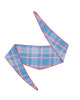 Montana Brushed Check Dog Neckerchief