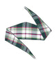 Forrest Brushed Check Dog Neckerchief