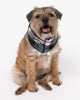 Forrest Brushed Check Dog Neckerchief