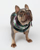 Forrest Brushed Check Dog Neckerchief