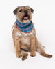 Montana Brushed Check Dog Neckerchief