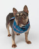 Montana Brushed Check Dog Neckerchief