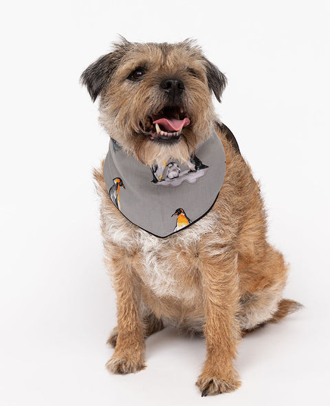 Parker Penguin Print Dog Neckerchief