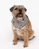 Parker Penguin Print Dog Neckerchief