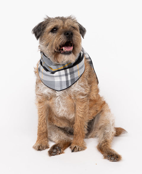 Foulard pour chien à carreaux brossé Parker