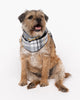 Foulard pour chien à carreaux brossé Parker