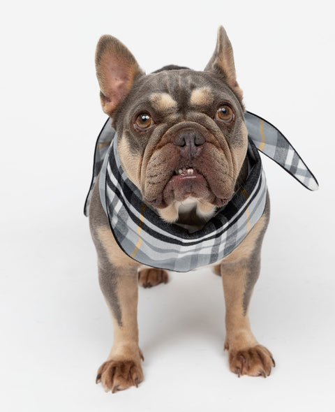 Foulard pour chien à carreaux brossé Parker