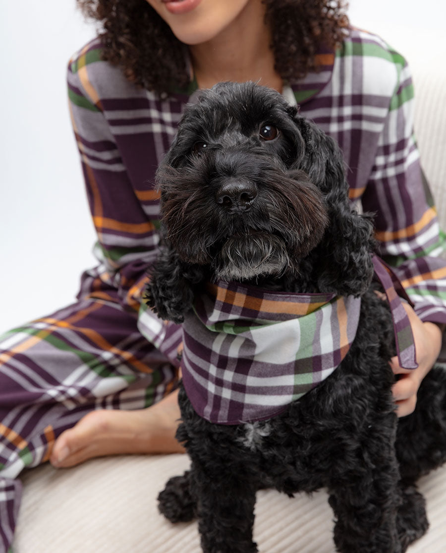 Wild Slumber Lightly Brushed Check Family Matching Pyjama Set